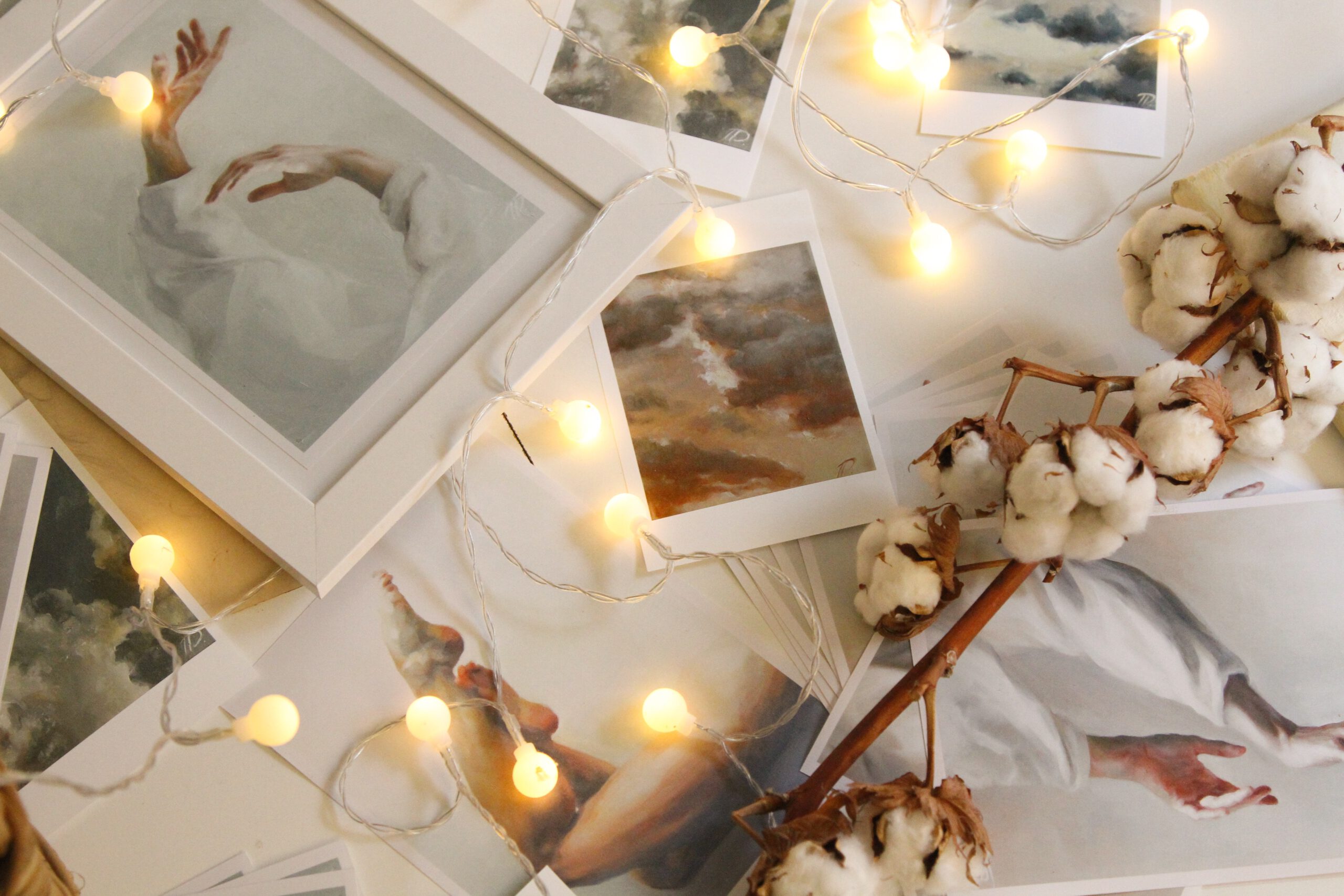 Roślina bawełny, zdjęcia w białych ramkach i świecące lampki rozrzucone na białym tle